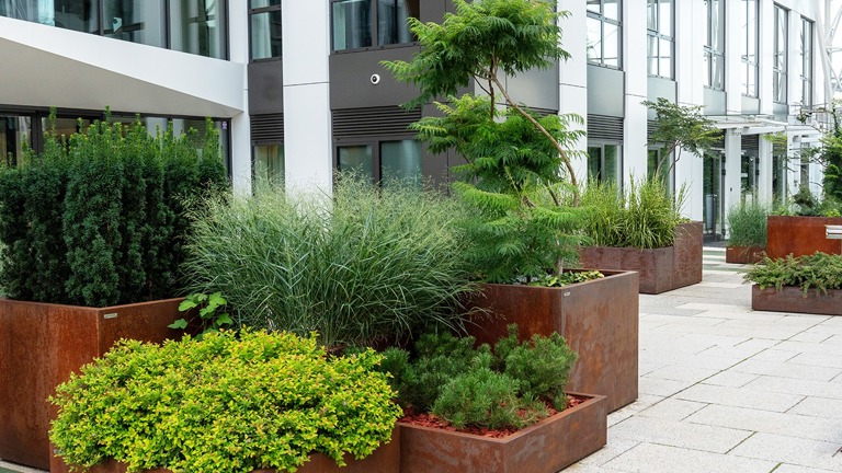 Exterior planters and plantings