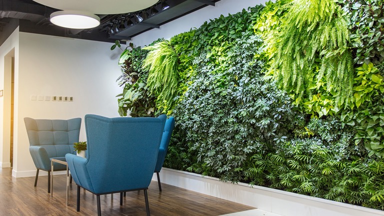 Living plant walls, installation & care