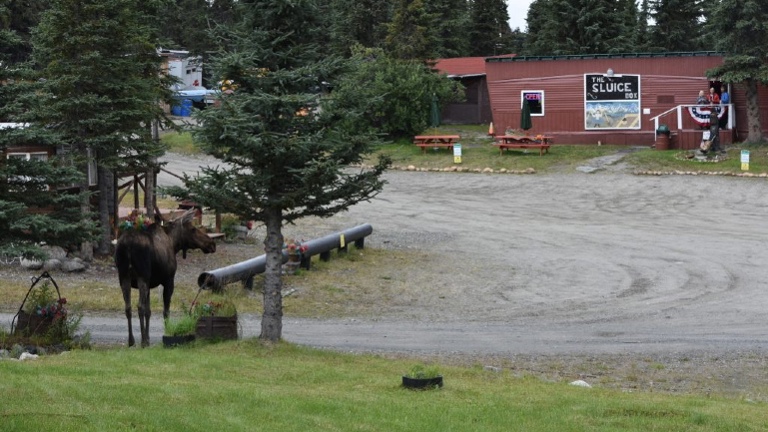 Alaskan Views around the Lodge