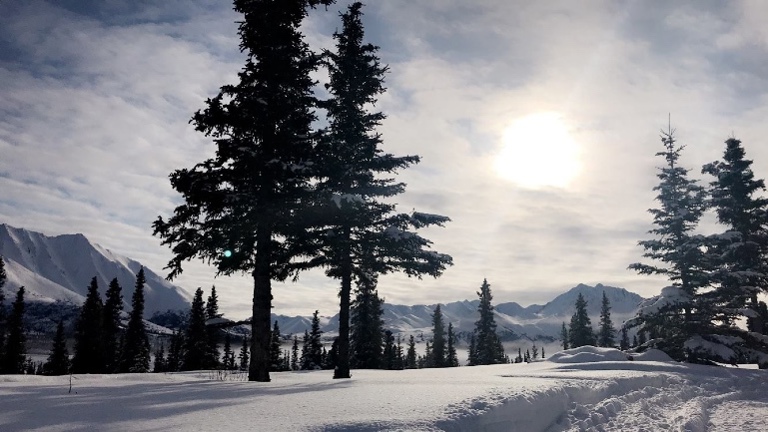Alaskan Views around the Lodge
