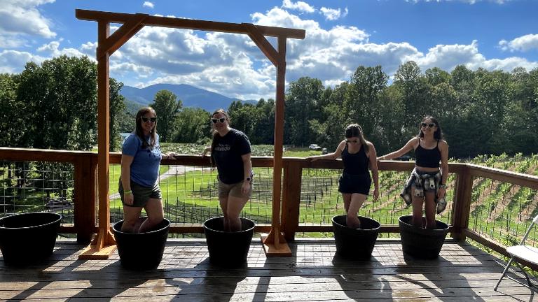 Grape Stomp Fest