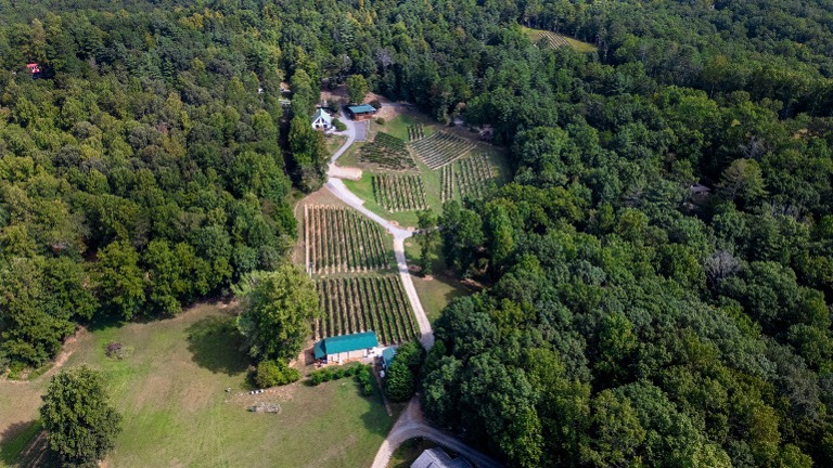 aerial view of lodge area