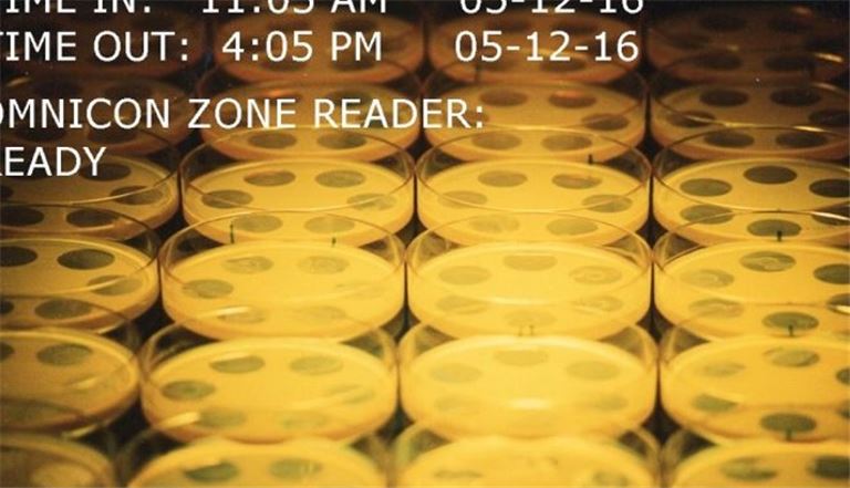 Much faster Cylinder Plate-Diffusion Assay