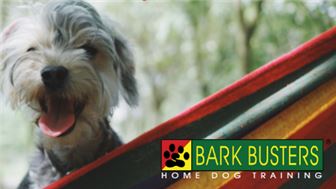 Own a well-established Dog Training Business in Tampa FL!