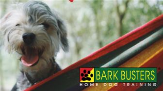 Dog Training Business in NORTH DALLAS TX!   PRICE REDUCED!!!