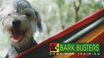 Own a well-established Dog Training Business in Houston TX!