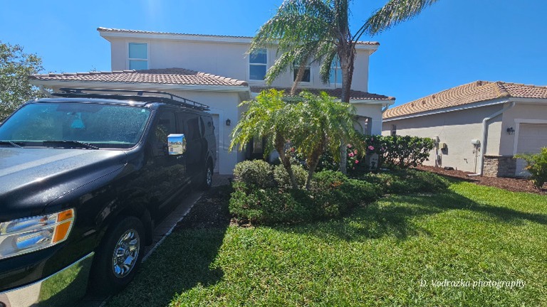 Landscaping before