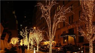 Fully Turnkey Holiday Lighting Division Based In New York