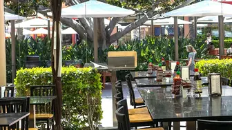 Profitable Asian Restaurant in Irvine