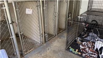 Dog Kennels - Montgomery County