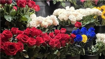 Established Florist for Sale in New York