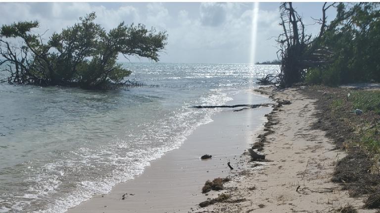 Another Beach Cove