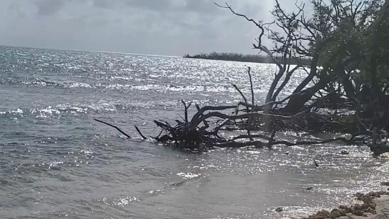 Another Beach Cove
