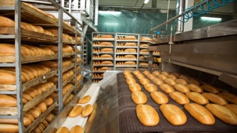 Lucrative Bread Route For Sale