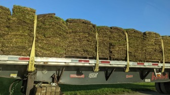 Profitable Sod Wholesale Brokerage – Low Overhead, Remote, Scalable