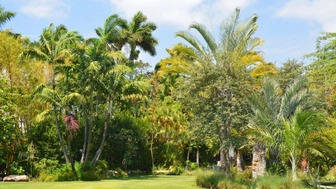 SBA APPROVED: Profitable SWFL Native Landscape Design Business