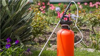 Home Based Pest Control Business for Sale