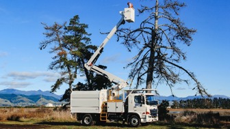 Full Service Certified Arborist