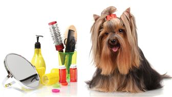 Absentee Owned Pet Grooming/Supplies Store #3387