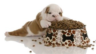 Pet Food and More #3076