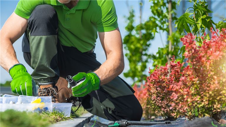 Landscaping