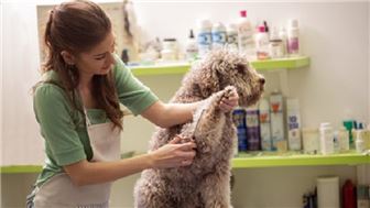 High-Revenue Pet Franchise - Hands-On Growth Ready
