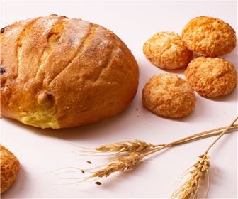 Award Winning Cafe & Artisinal Bakery in the North Bay