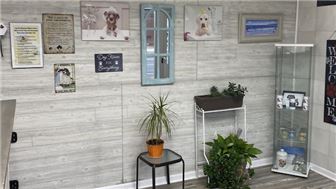 Dog Boarding & Pet Food Business for Sale