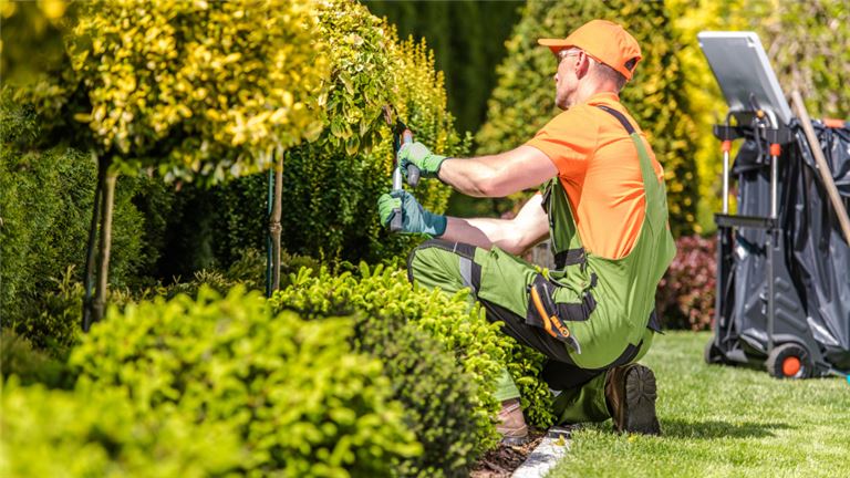 Landscaping Business for Sale