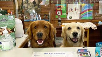 Suds ‘Em Licensing- dog bathing, nail trims, and grooming care.