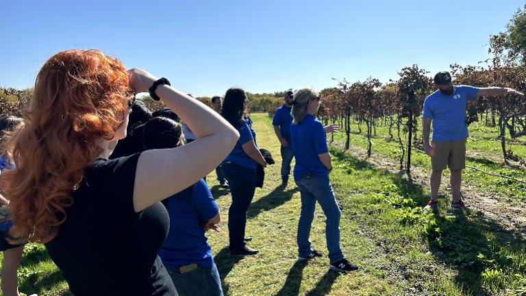 Complimentary Private tour by Winery Owner