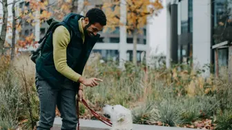 Turnkey Dog Training Franchise - High Margins, Motivated Seller