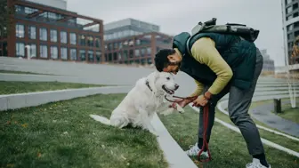 Turnkey Dog Training Franchise - High Margins, Motivated Seller