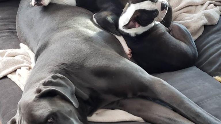 My Babies