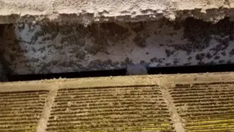 Air Duct & Dryer Vent Cleaning For Sale