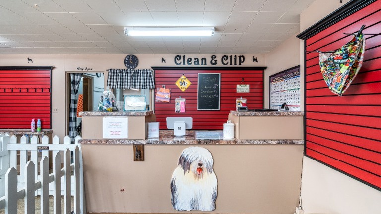 Front desk reception area, with partitians to keep pets seperated