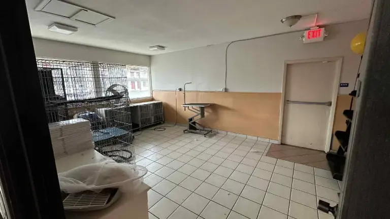 separate room for grooming, office or storage separate room for grooming, office or storage