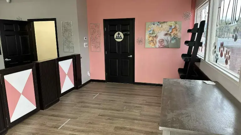 small entry lobby with gates for pet security small entry lobby with gates for pet security