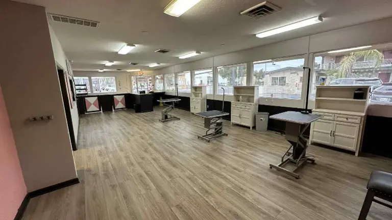 large front grooming area large front grooming area