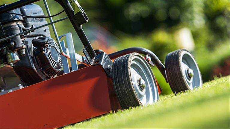Lawn Care Business *Real Estate Available for $299K*