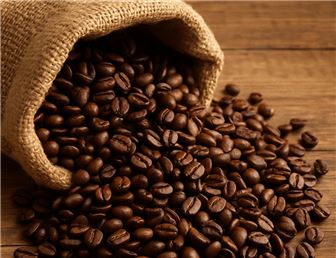 Home Based Coffee Roasting Business--South Florida