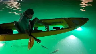 High Profit, Proven, Low Overhead, Glass Bottom Kayak Night Tour Biz