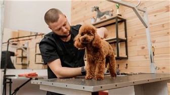 $400K Rev | Pet Grooming & Retail | Semi-Absentee