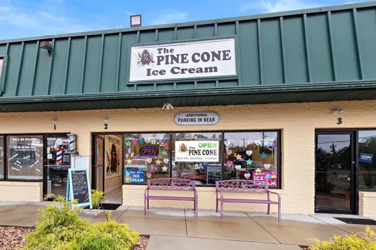 Pine cone Exterior