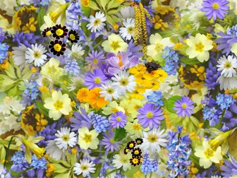 Florist