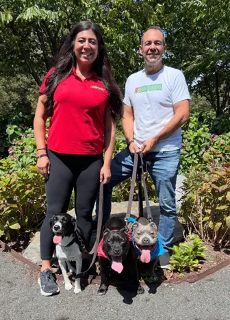 Top Rated In-Home Dog Training Franchise – New Haven County