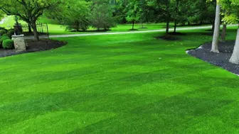 ForeverLawn Business Opportunity