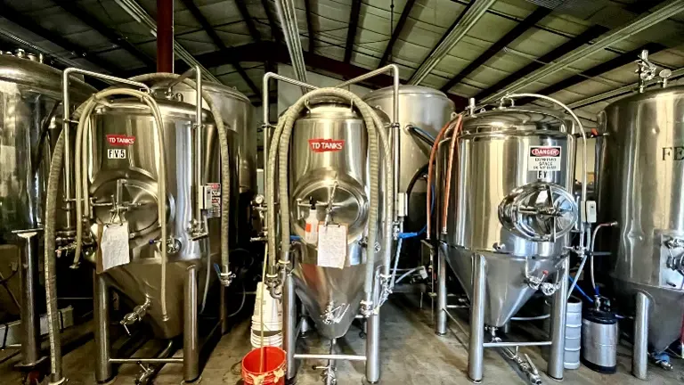 Cellar - south side