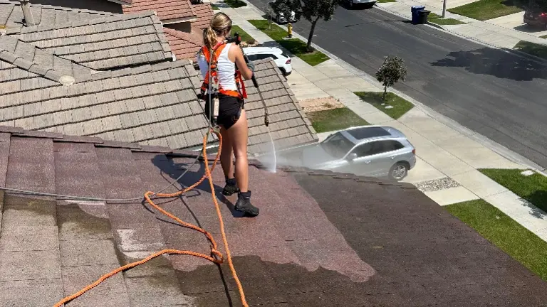 Roof Cleaning