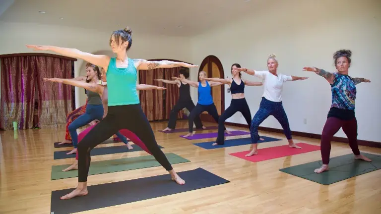 Alignment, Vinyasa & Hatha